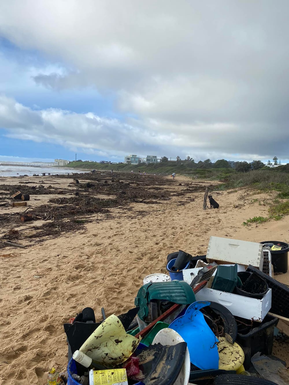 After the storm: how local communities rallied together post image
