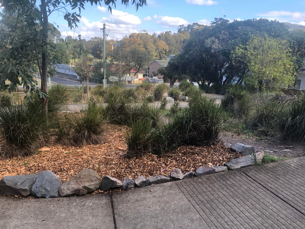 The Serpent: Woonona man's vision sparks community project post image