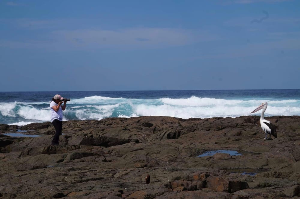 My 3 favourite wild experiences post image