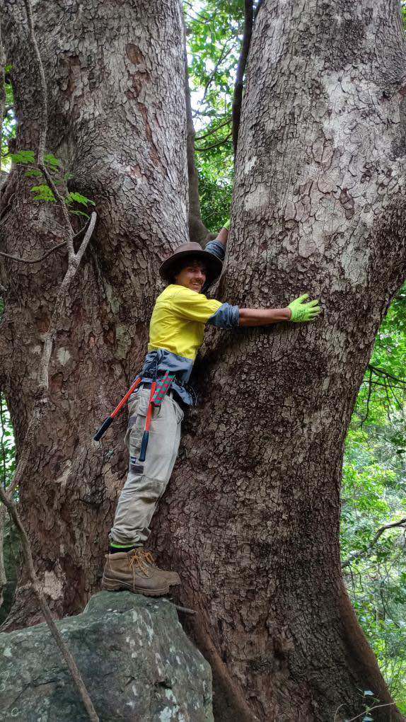 How volunteering at Bushcare led to a career in regeneration post image