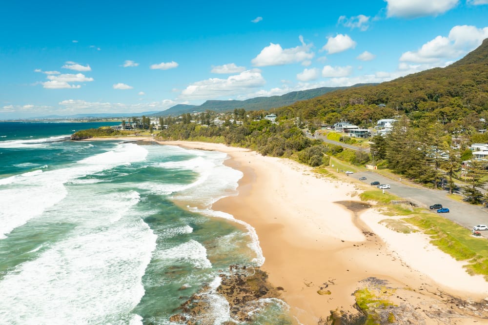 Sharkeys Bushcare invites you to an Open Day post image