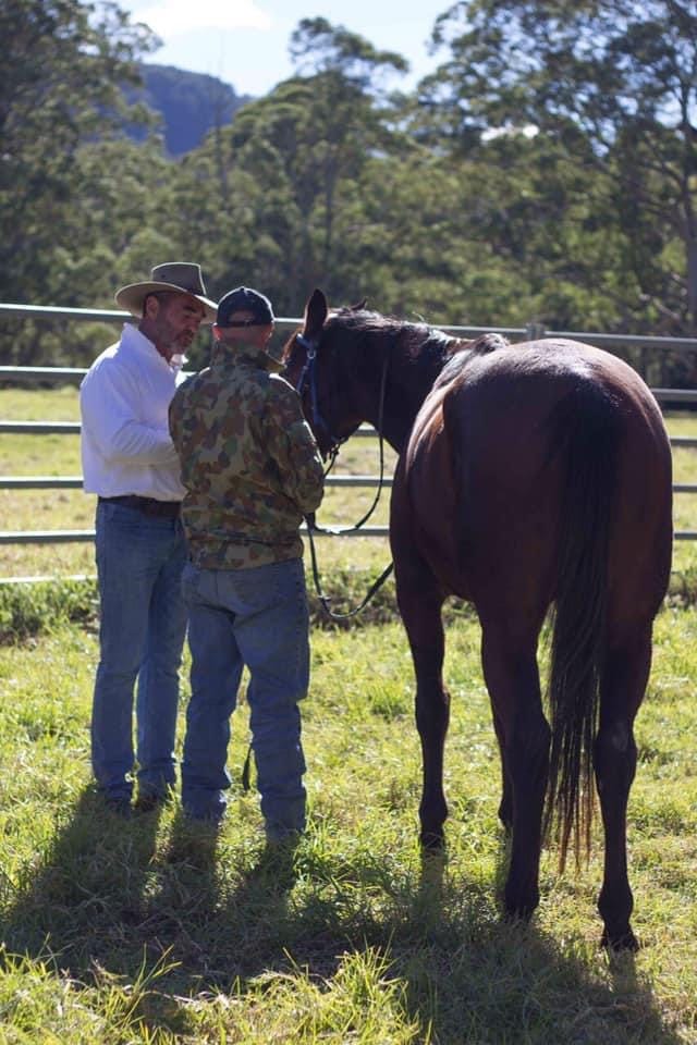 'The Healing' to screen at the Bowlo post image