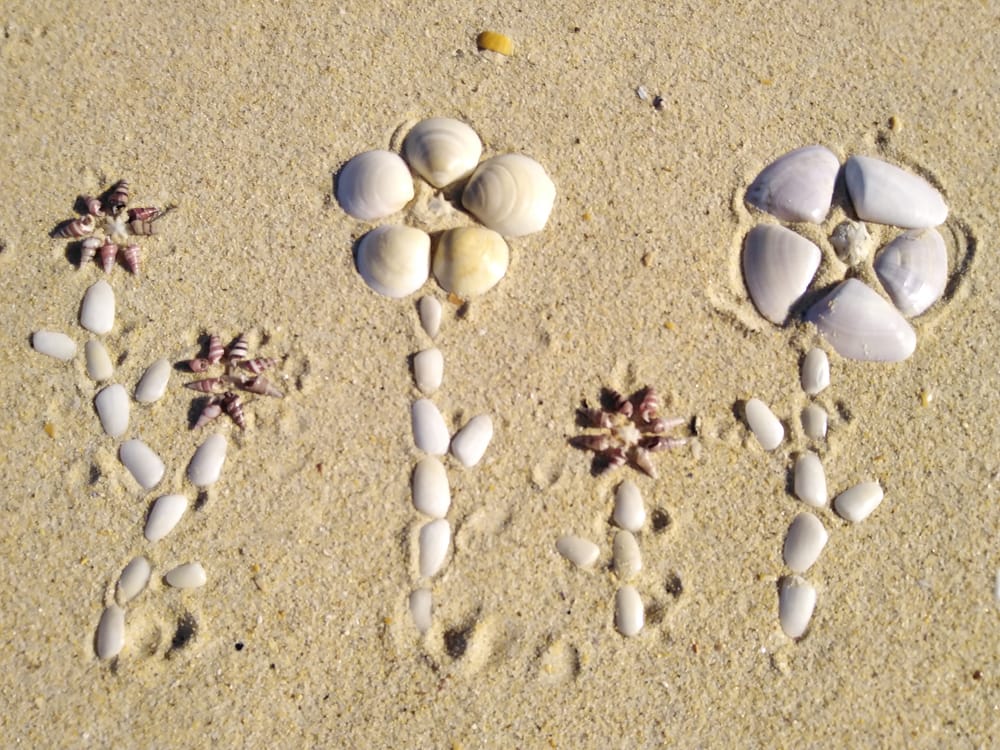 Kids challenge: make art in the wild post image