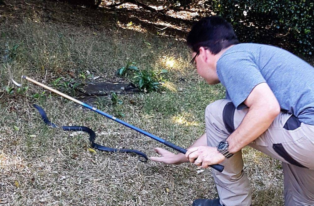 Snake Catching now a real family business post image