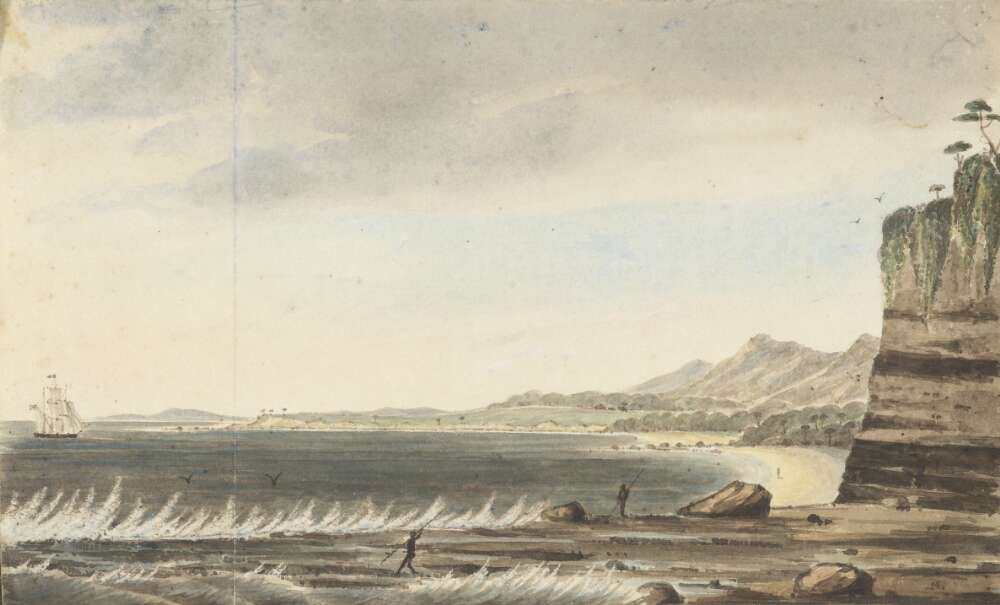 Aboriginal patch-burning helped shape early colonial Illawarra post image