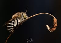 Zoom in on Tara Luck's photography post image