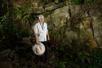 Christmas Beetling About post image