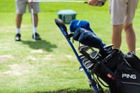 Tees the season: Golfers share festive wishes post image