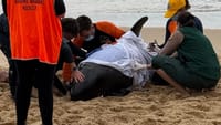 Volunteers reflect on role after whale stranded on our shore post image