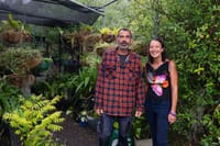 Nursery siblings nurture their nook post image