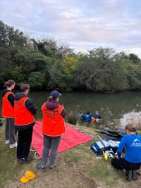 Mullet Creek dolphin stranding underscores complexities of marine mammal rescue post image
