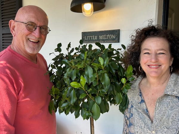 Bold new vision revealed for Little Milton, Wollongong's oldest residential building post image