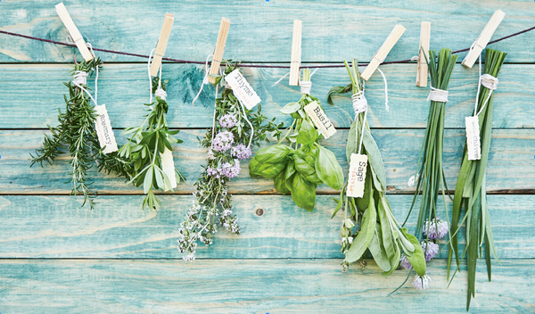 Helensburgh Guides plant fresh herb and flower garden post image