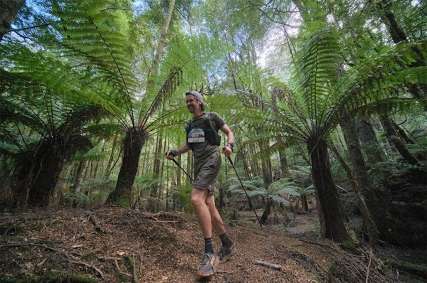 A Night for Takayna: Why protecting Tasmania’s ancient rainforest matters post image