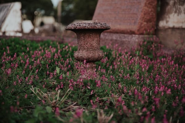 Friends plot to bring bursts of life to a place of rest post image