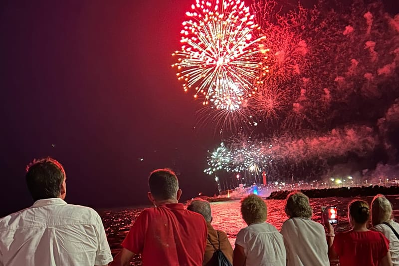 Council wrap: Fireworks are on, trees are gone, bike ban is done post image