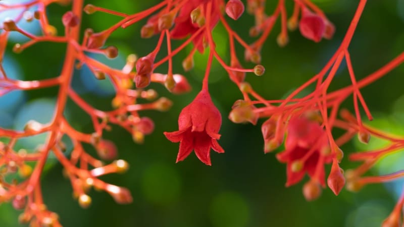 Introducing our all-new website! post image