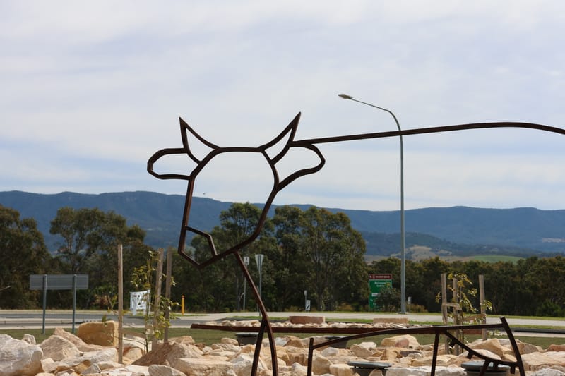 Cow-a-bout that post image