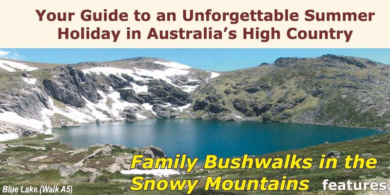 Bulli bushwalker publishes new guide to holidays in the High Country post image
