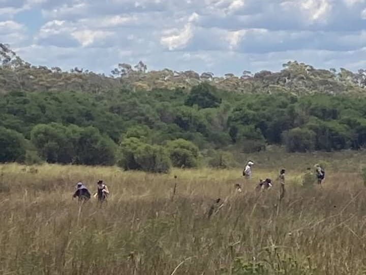 Activists swamped in wonder even as threat to drinking water remains post image