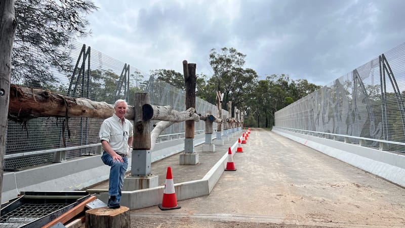 Seen the new wildlife crossing on the M1? It’s 'bewildering' post image