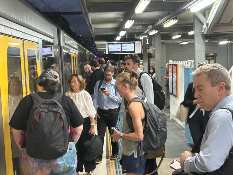 Plea for urgent help to ease our crowded train services post image