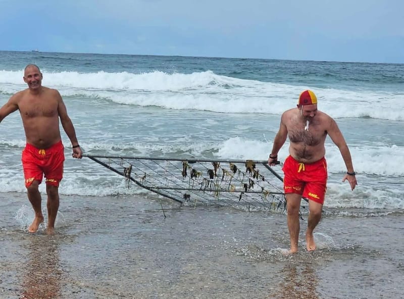 A very different rescue for North Beach lifesavers post image