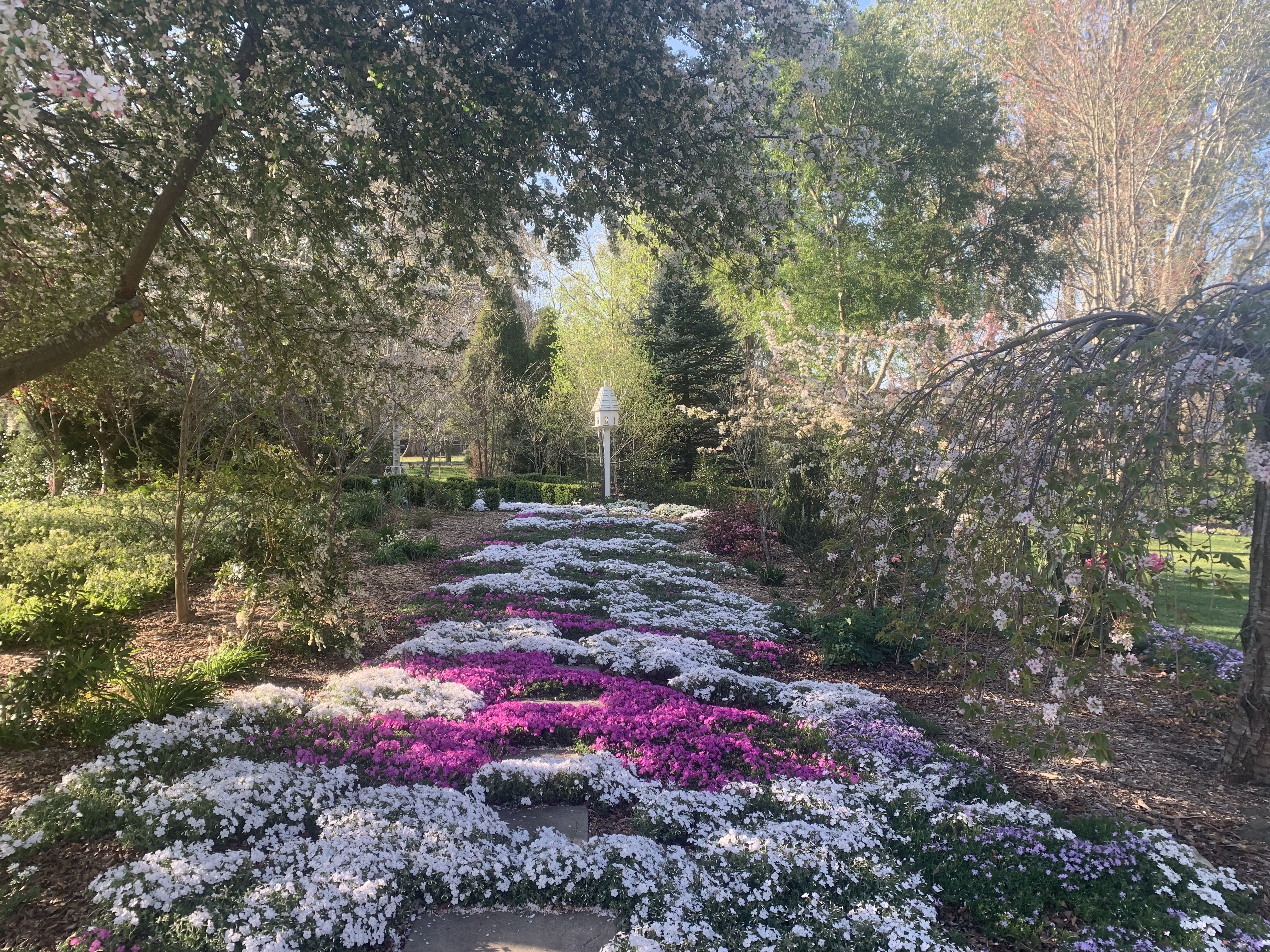 Discover Kathy Finigan's Secret Garden in the Southern Highlands