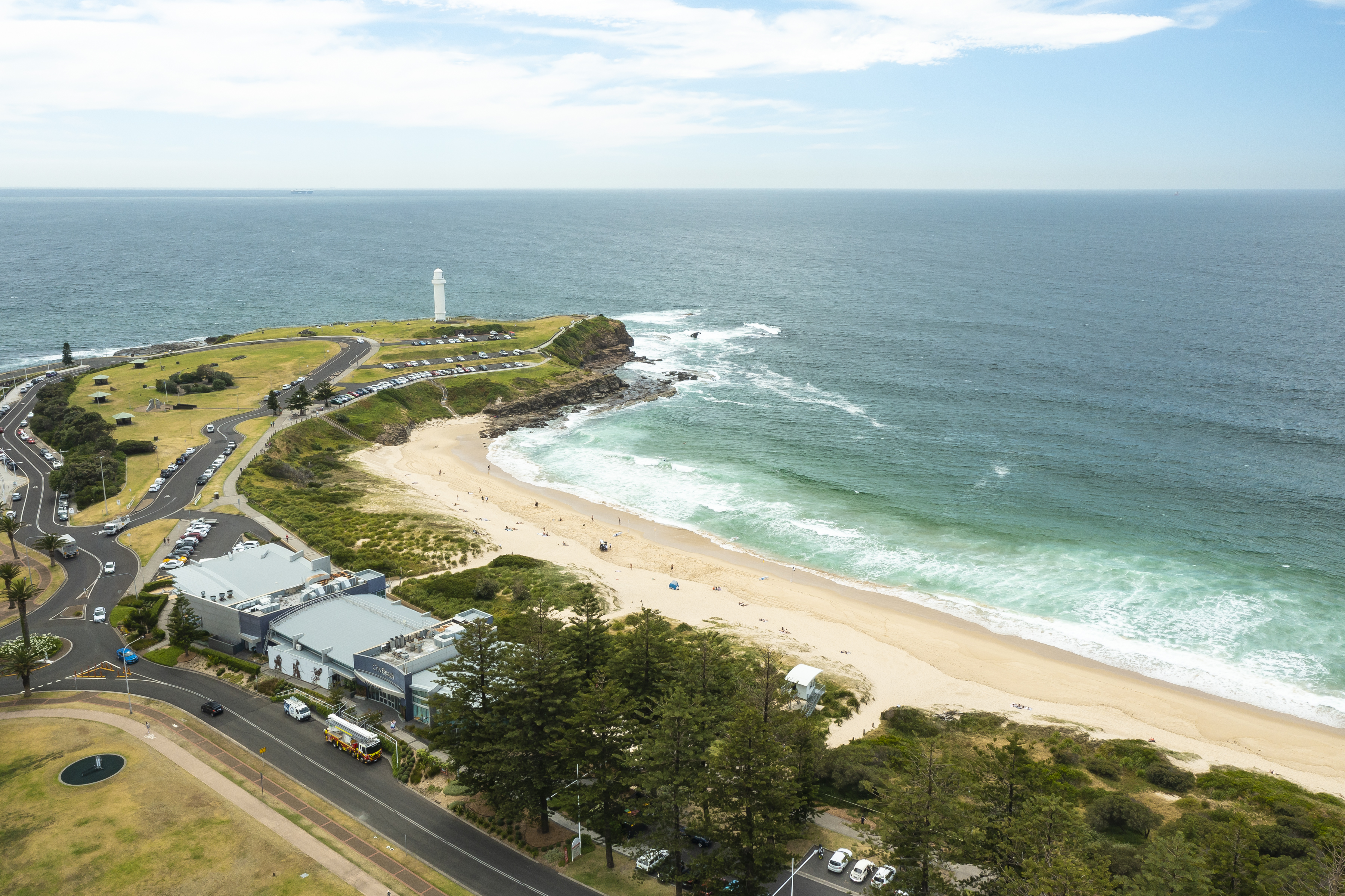 Common Ground: Sea Shepherd Australia says Illawarra offshore research is 'urgent'