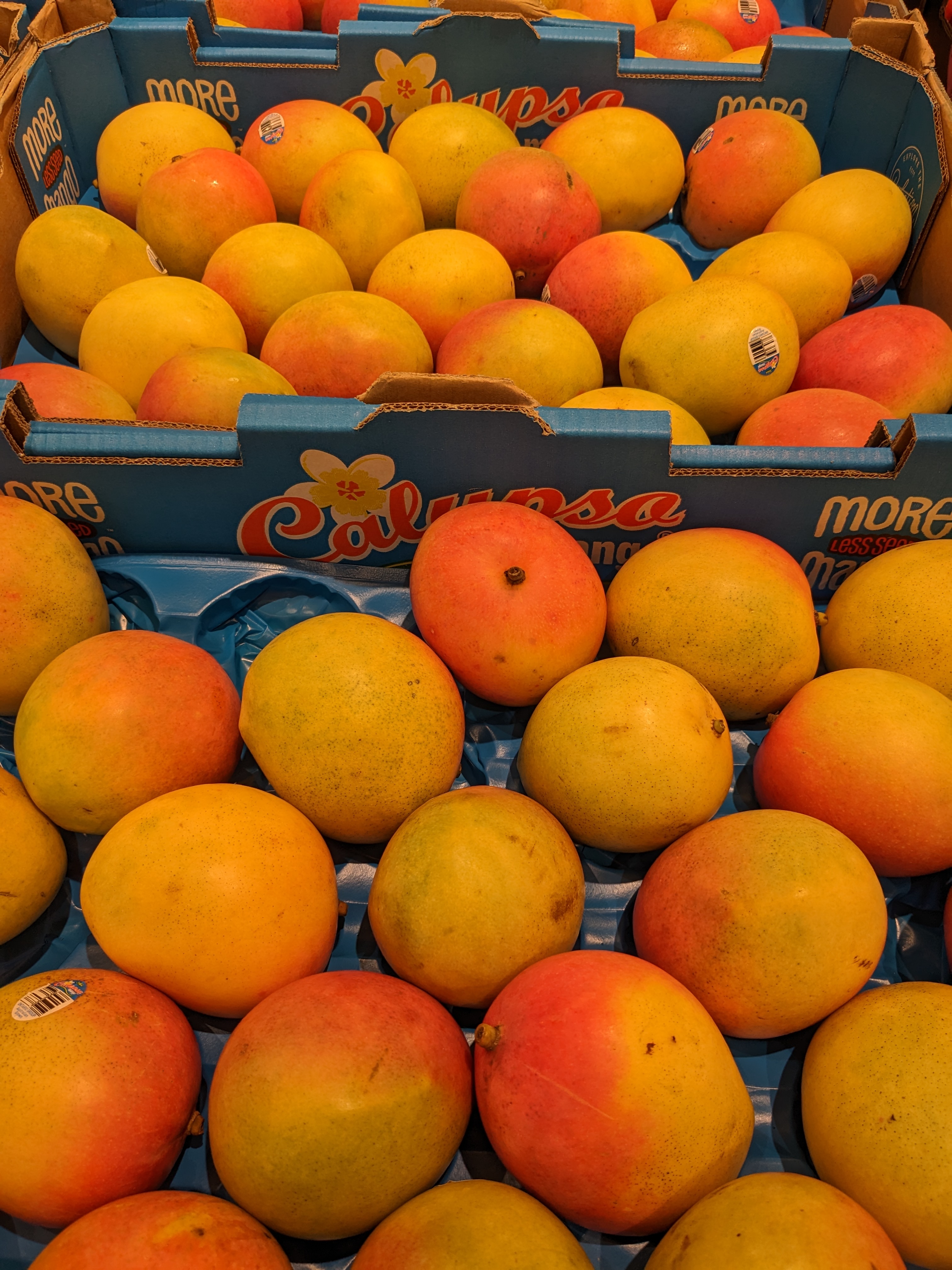 What's in season in January  post image