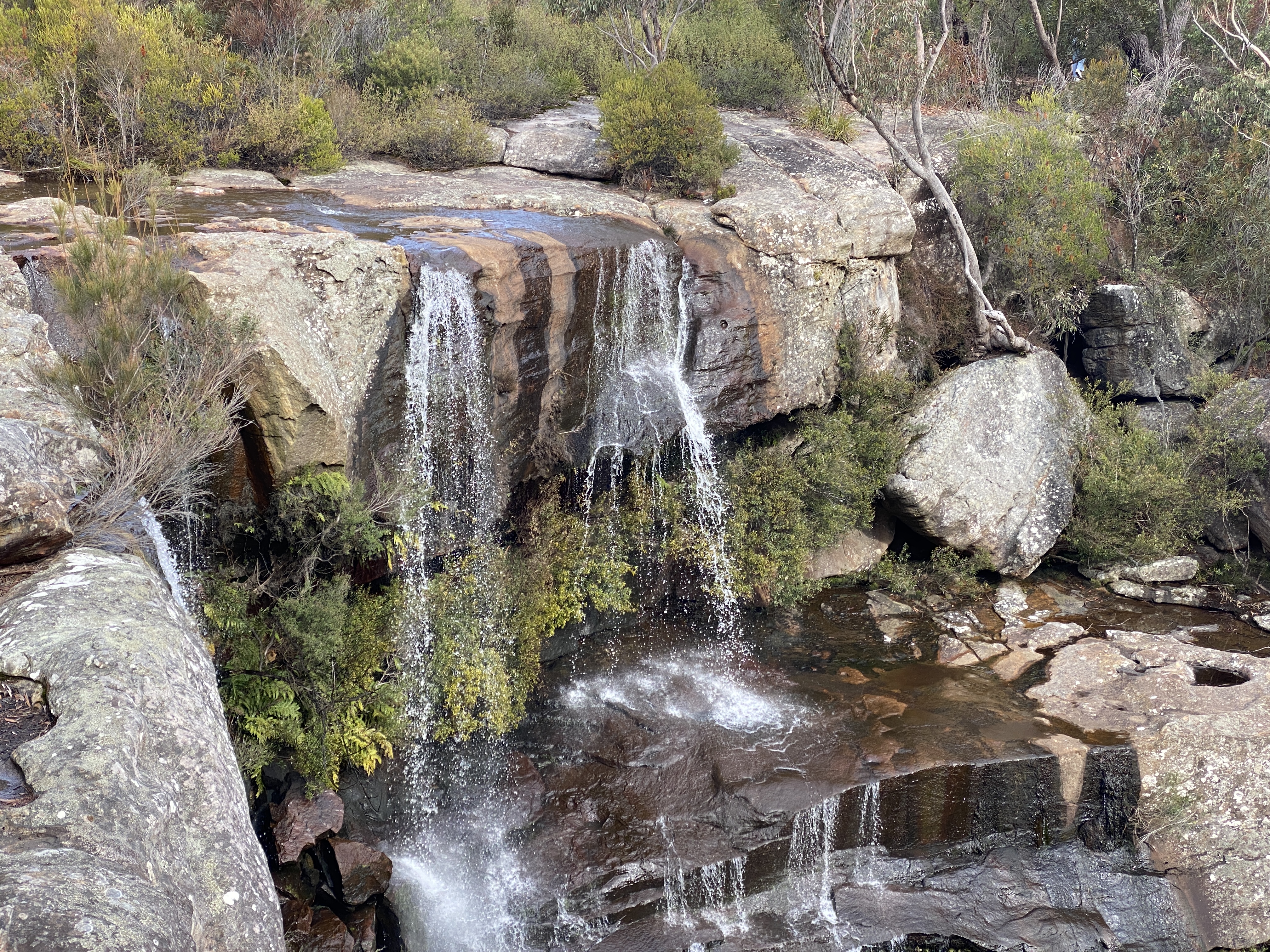 Short and sweet – the walk to Maddens Falls  post image