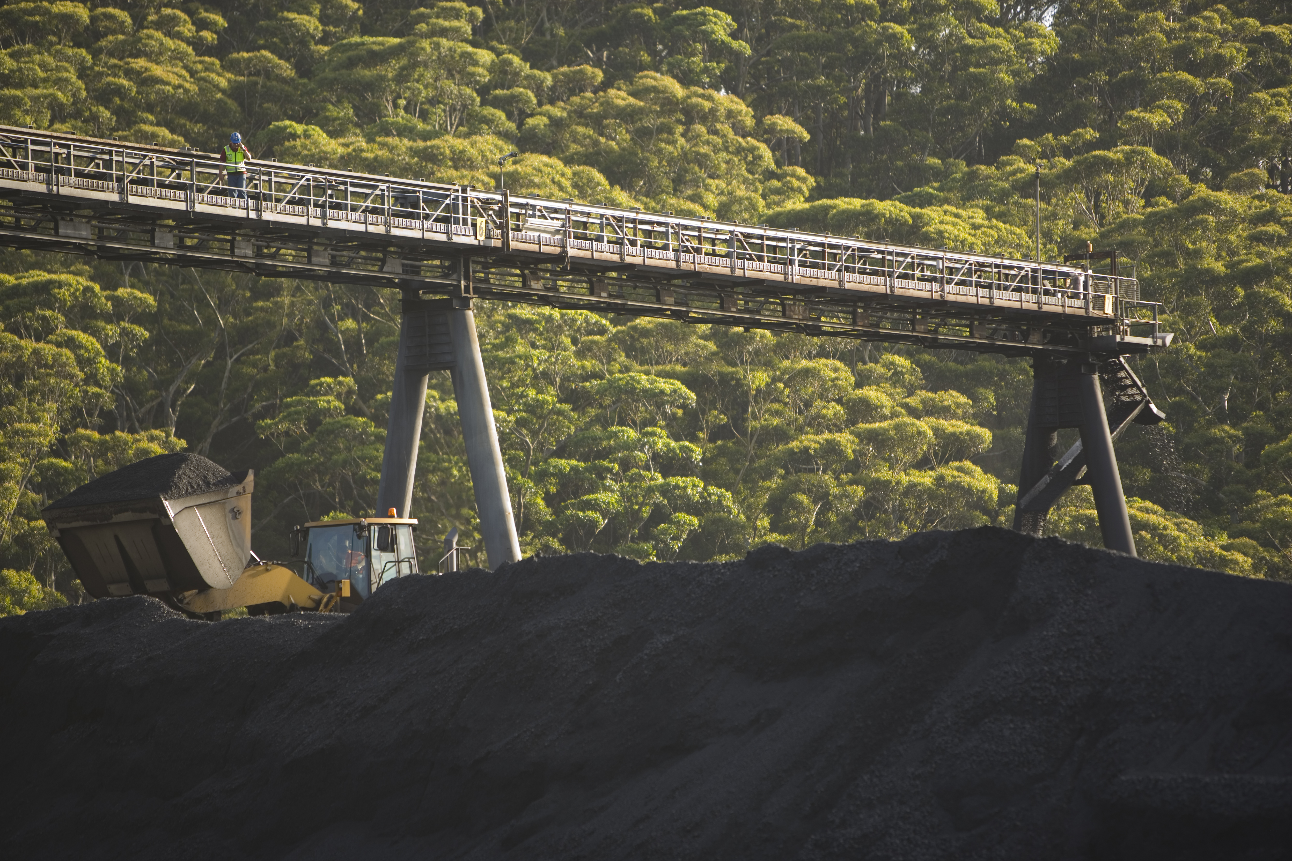 The Good Citizens Guide: How to have your say