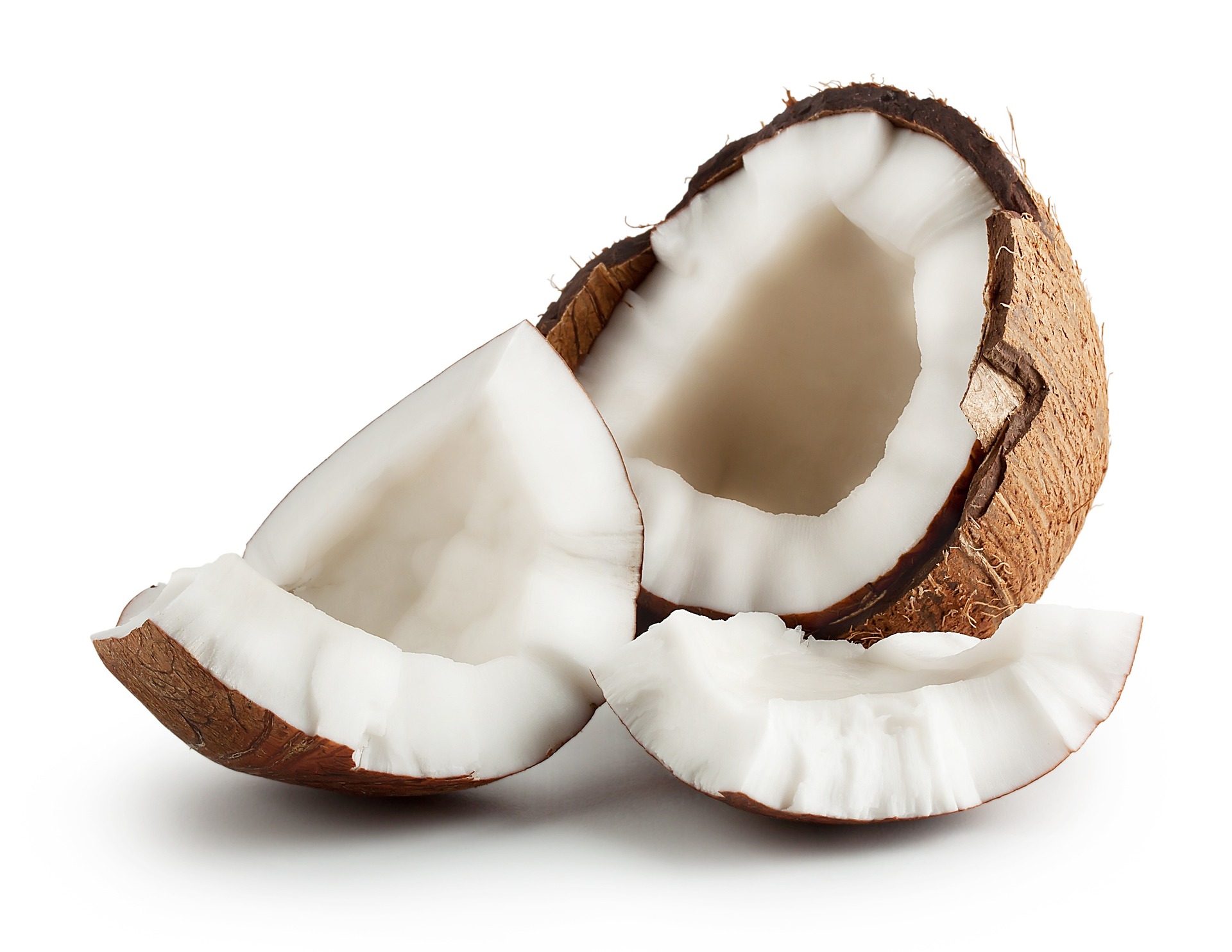 Let’s talk about coconut  post image