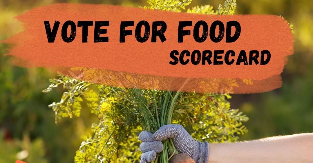 Vote for Food this election  post image