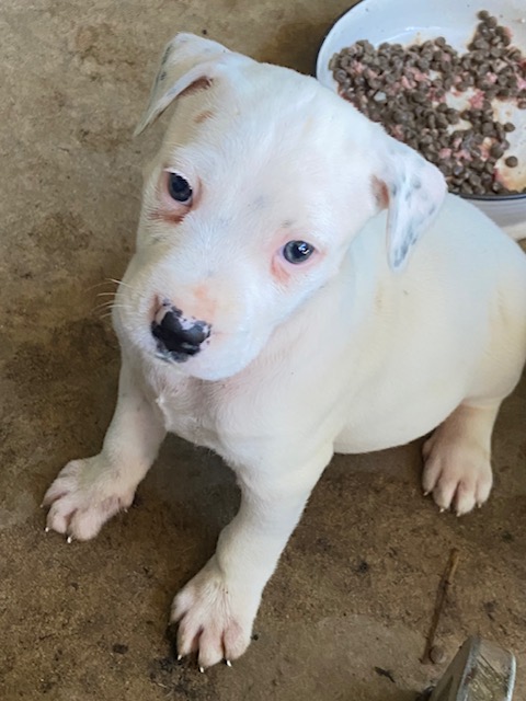 Clarrie needs a home!