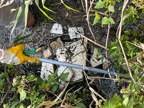 Beach clean filled 7 large bags