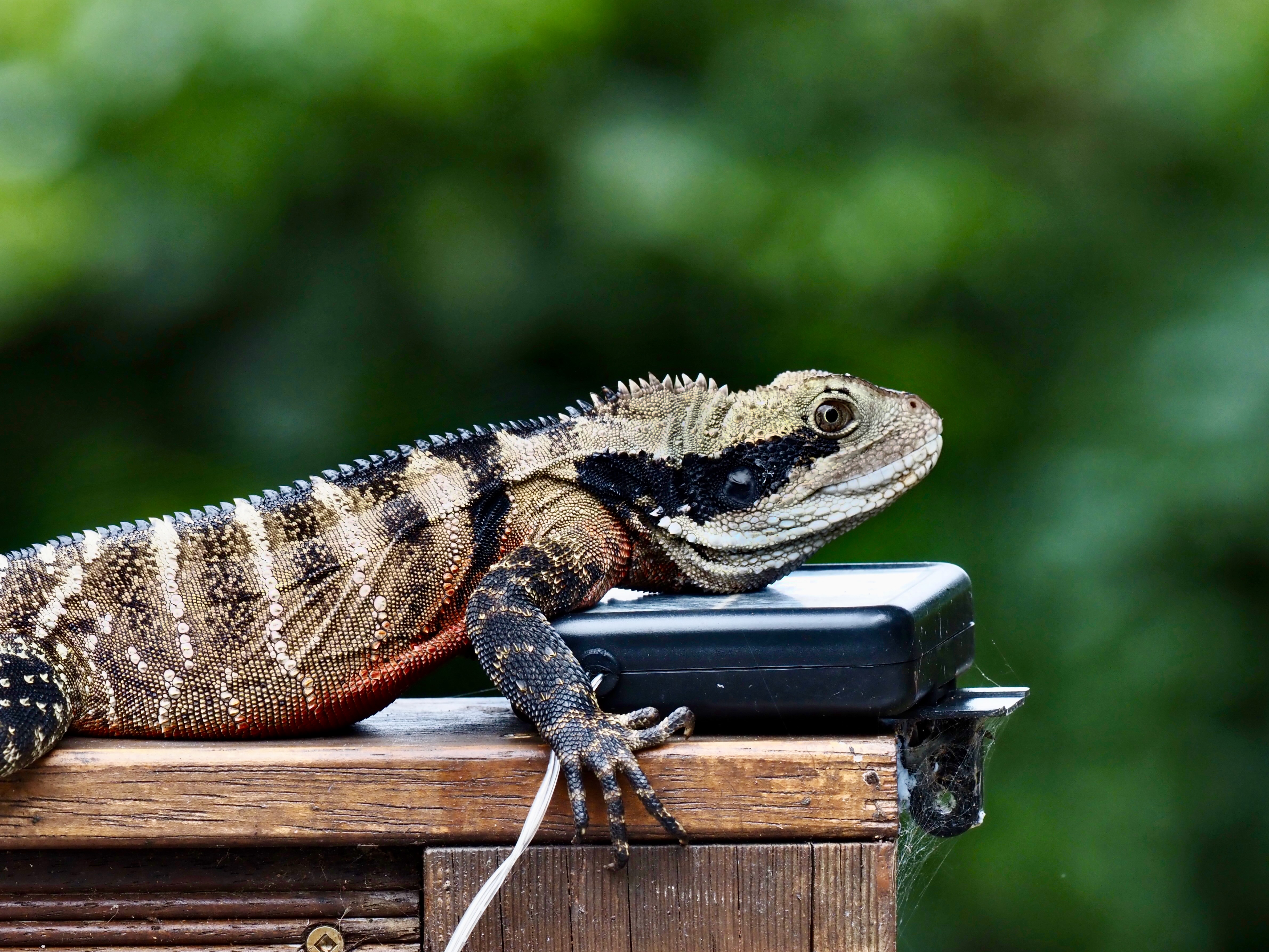 Eat and be eaten  post image