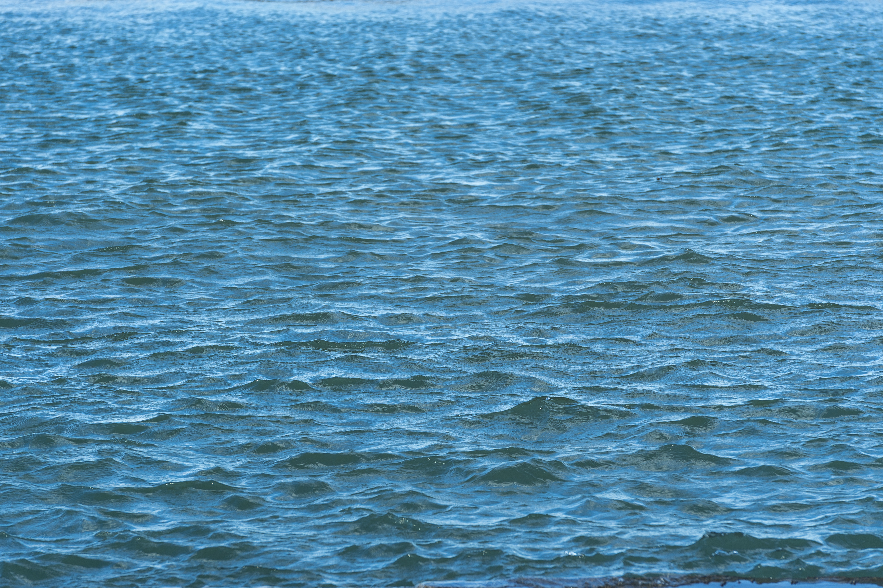 We now have a treaty governing the high seas. Can it protect the Wild West of the oceans?